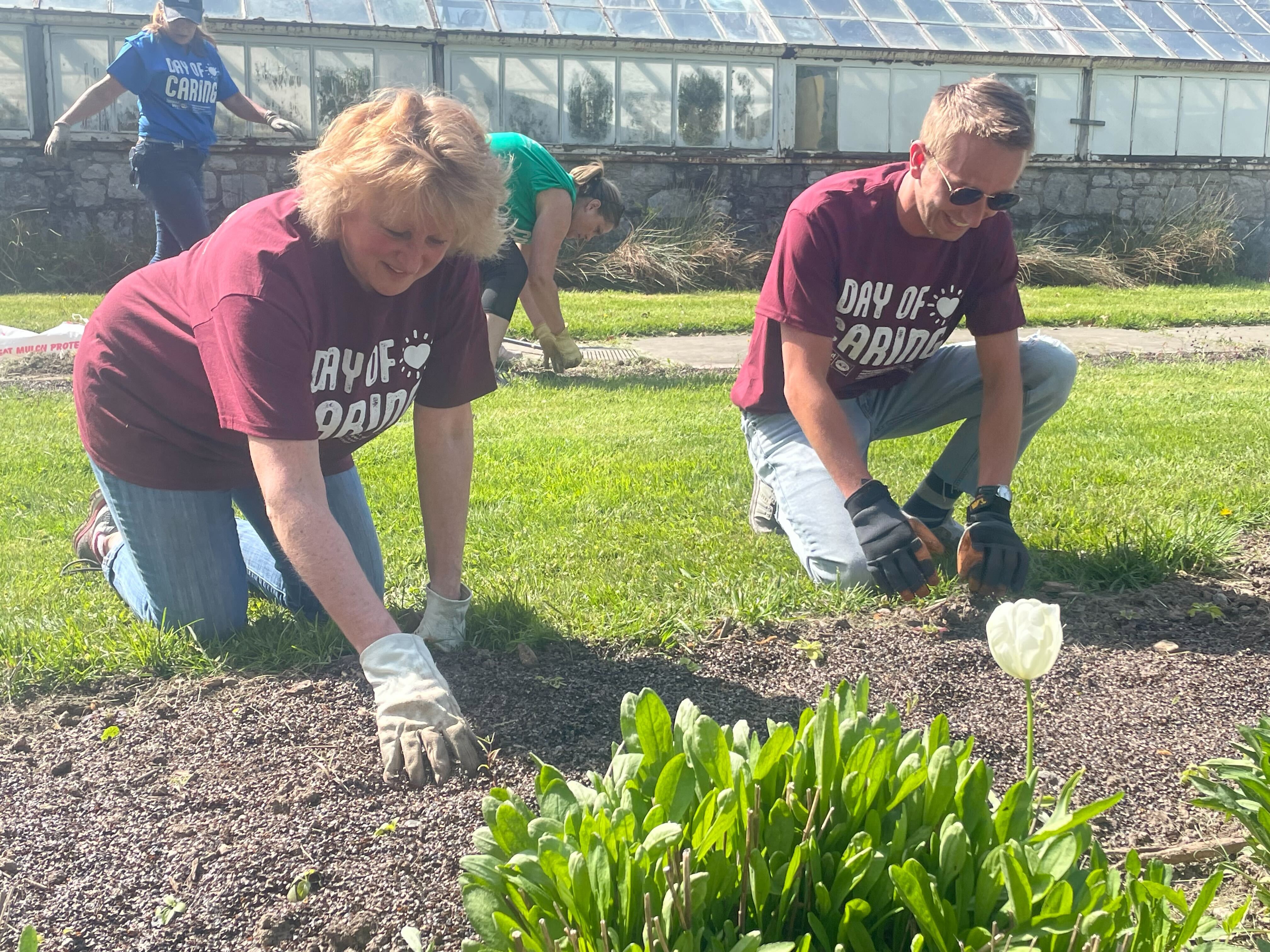 Volunteers Participating in Day of Caring